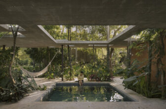 A Forest in the House