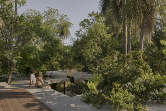 un bosque en la casa equipo de arquitectura 18 A Forest in the House