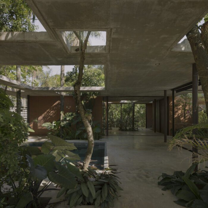 un bosque en la casa equipo de arquitectura 2 A Forest in the House