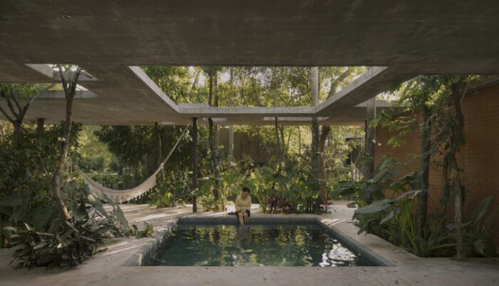 A Forest in the House | Equipo de Arquitectura