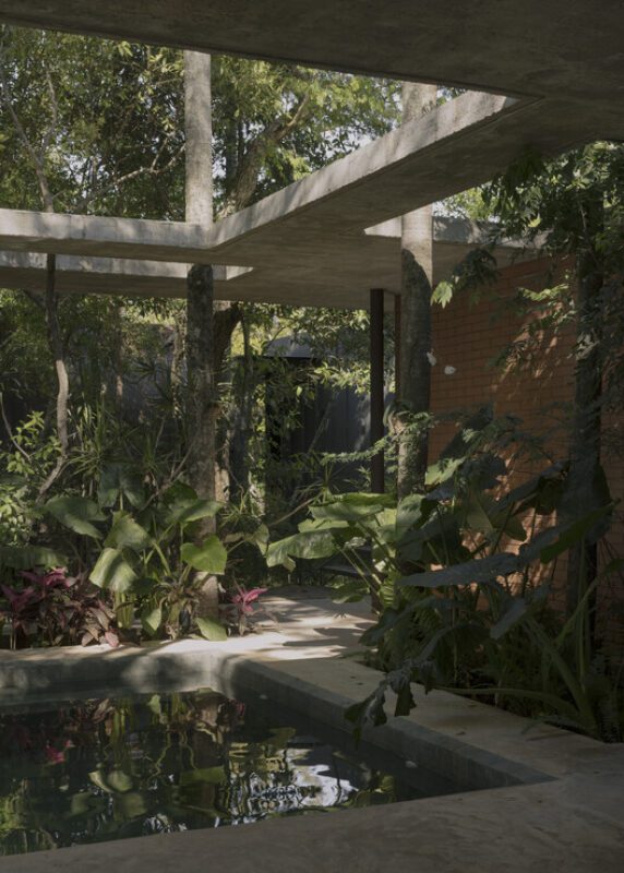 un bosque en la casa equipo de arquitectura 4 A Forest in the House