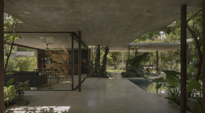 un bosque en la casa equipo de arquitectura 10 A Forest in the House