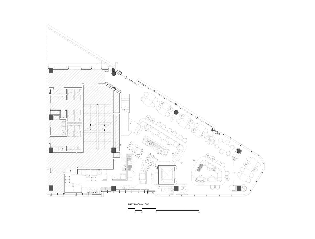 Aster by Joshua Paris