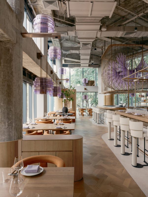 Aster by Joshua Paris