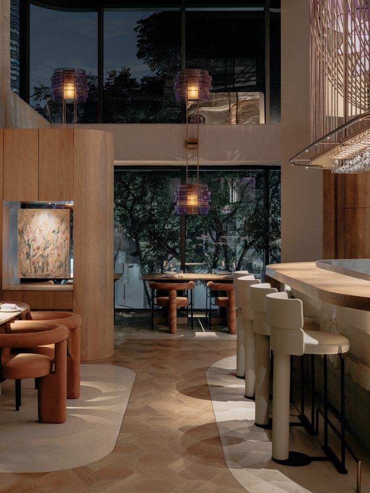 Aster by Joshua Paris