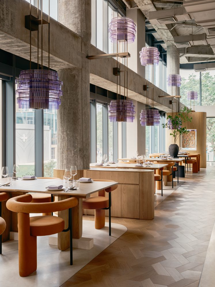 Aster by Joshua Paris