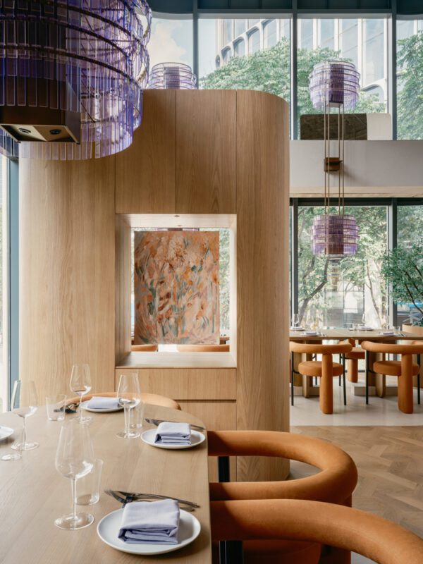 Aster by Joshua Paris