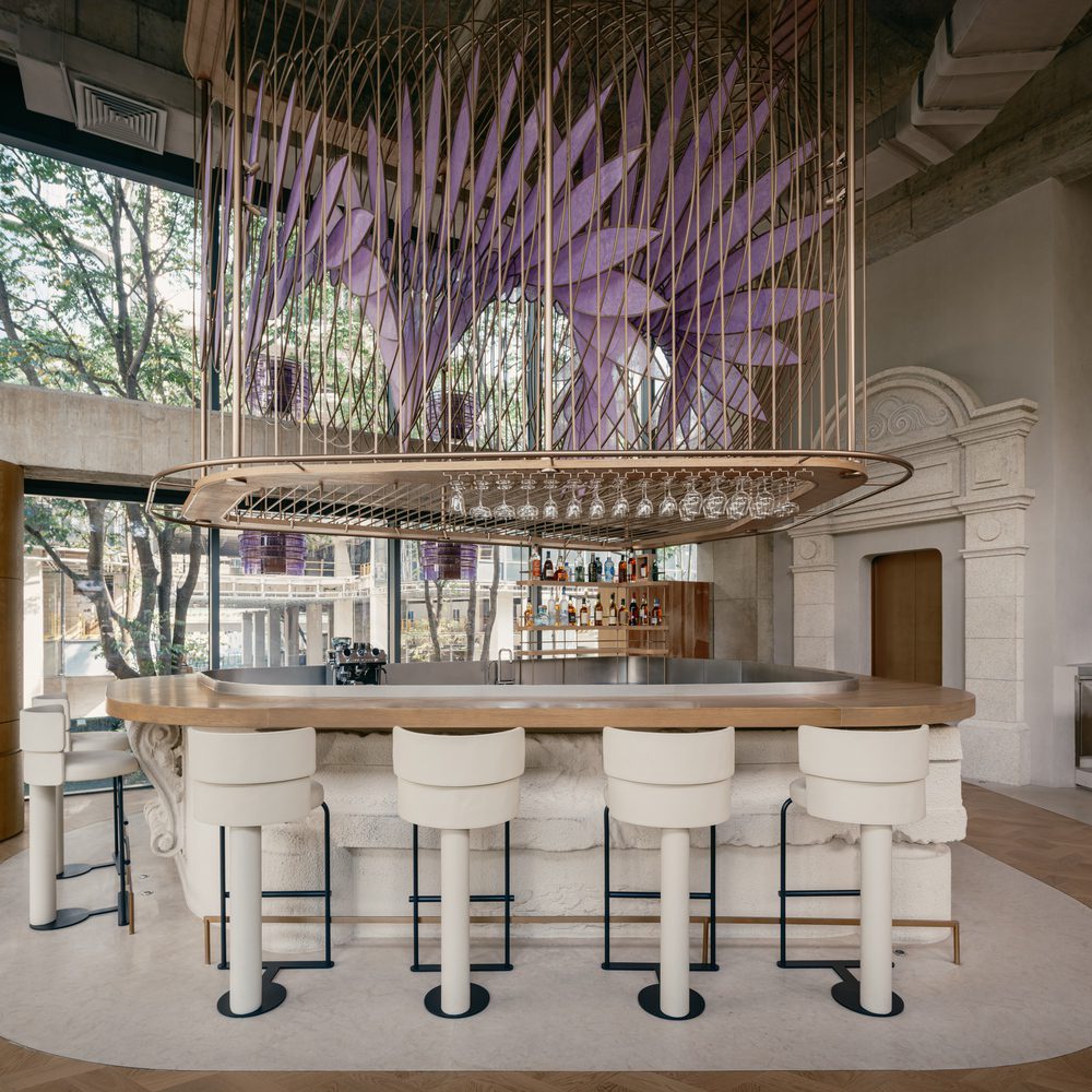 Aster by Joshua Paris