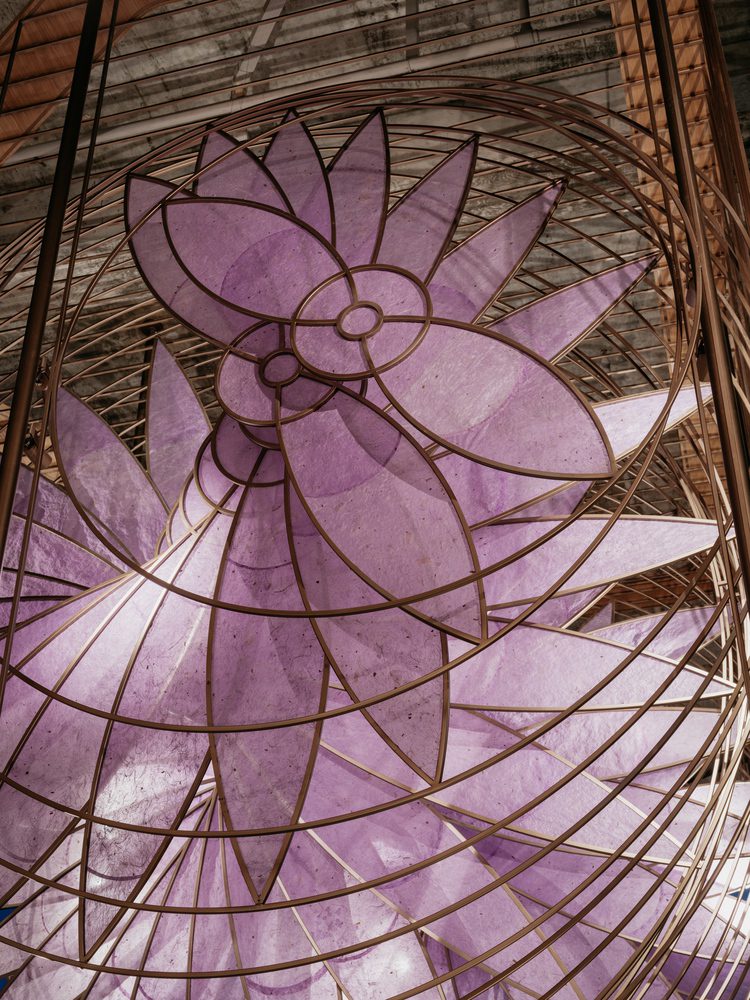 Aster by Joshua Paris