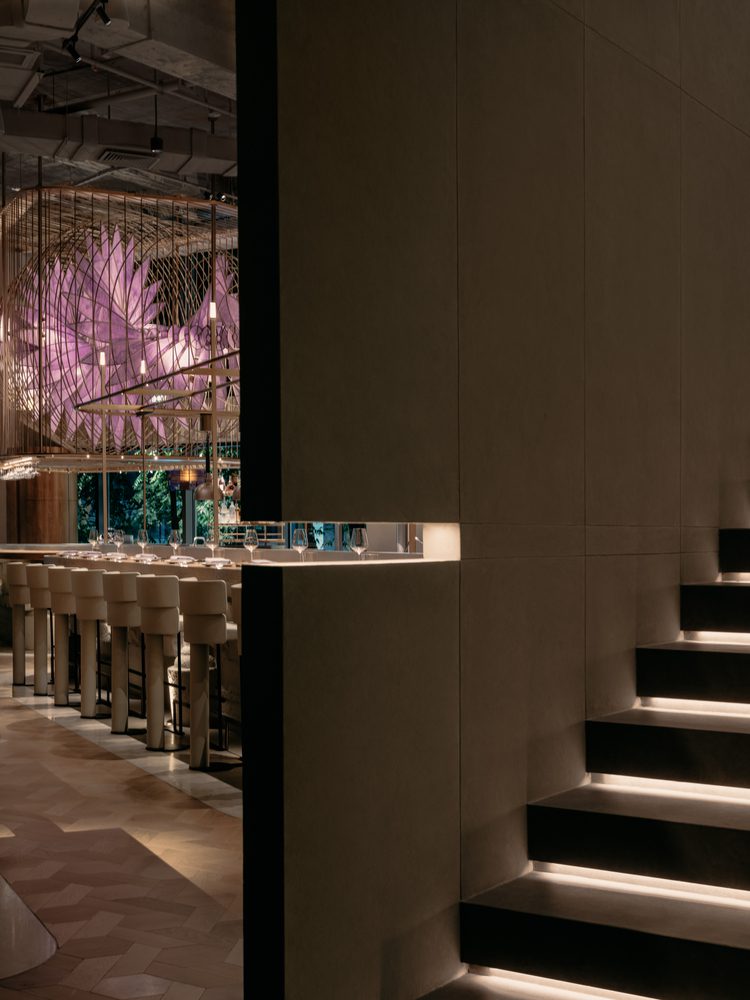 Aster by Joshua Paris