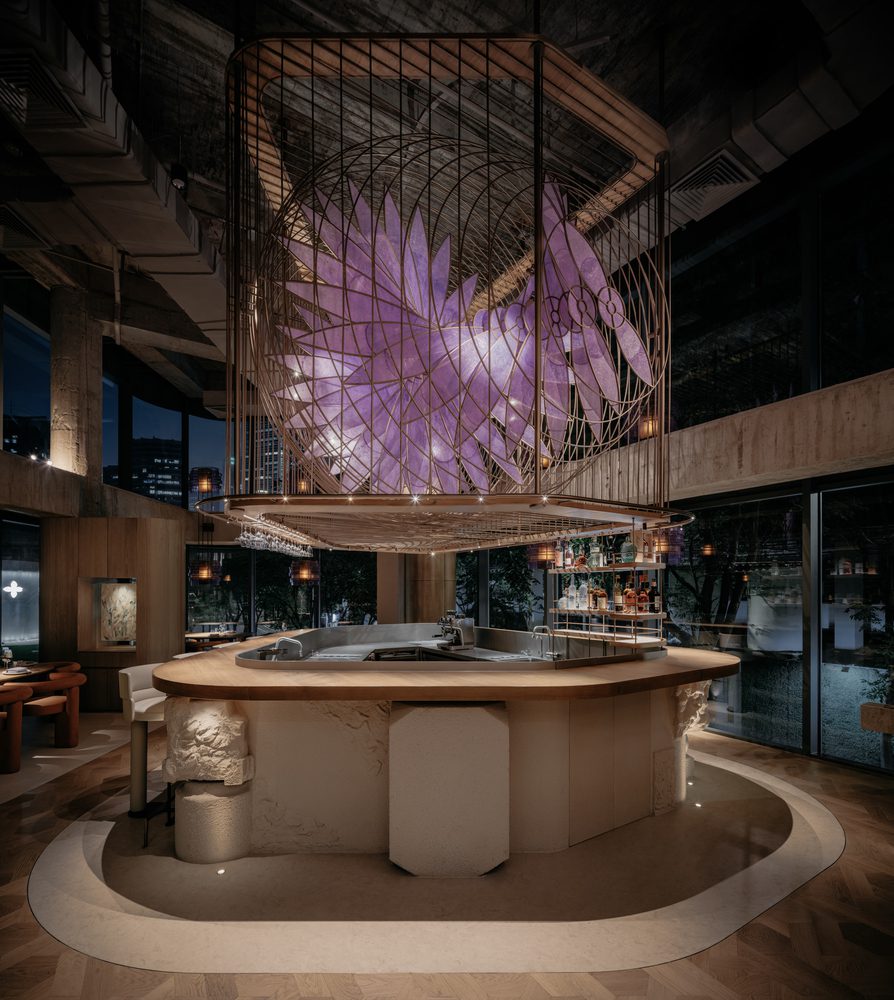 Aster by Joshua Paris