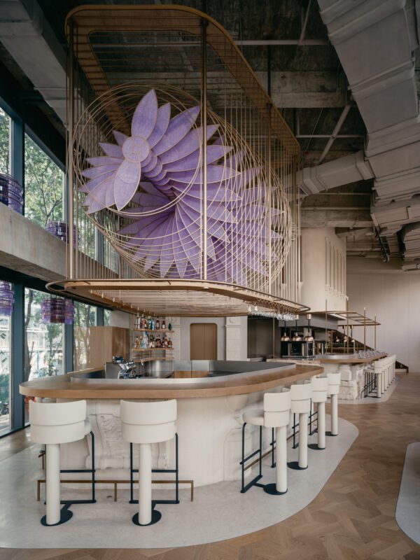 Aster by Joshua Paris