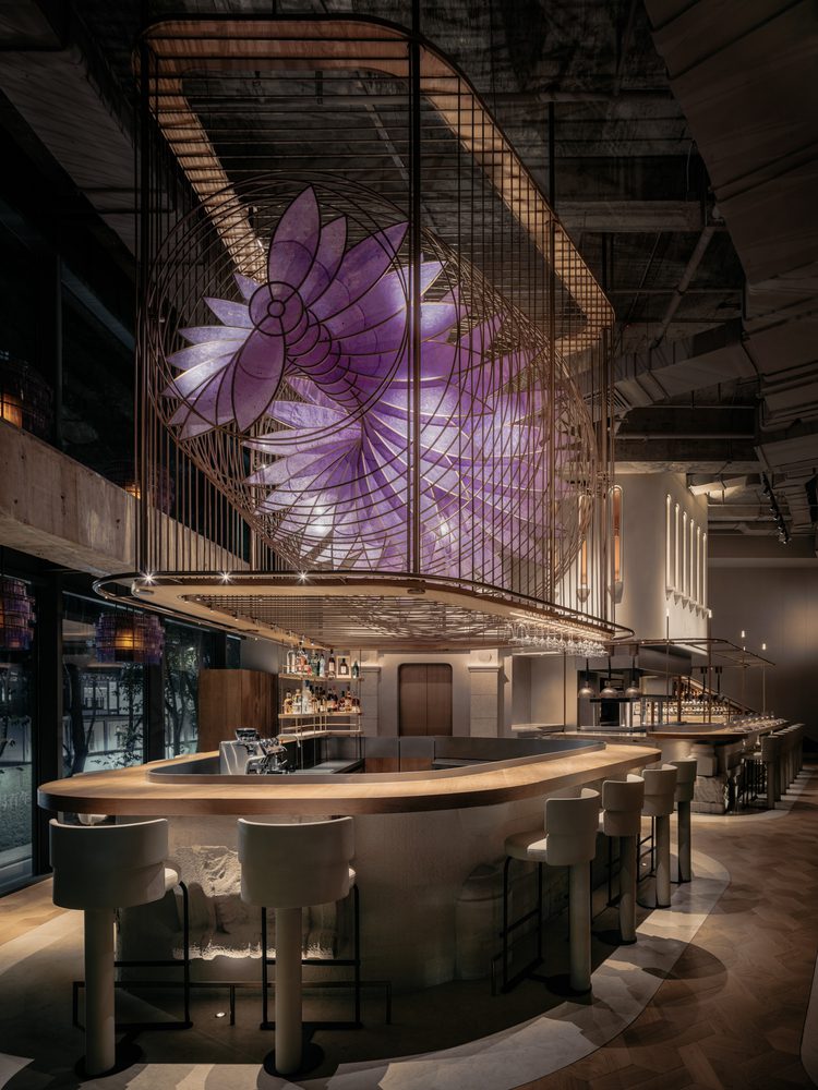 Aster by Joshua Paris