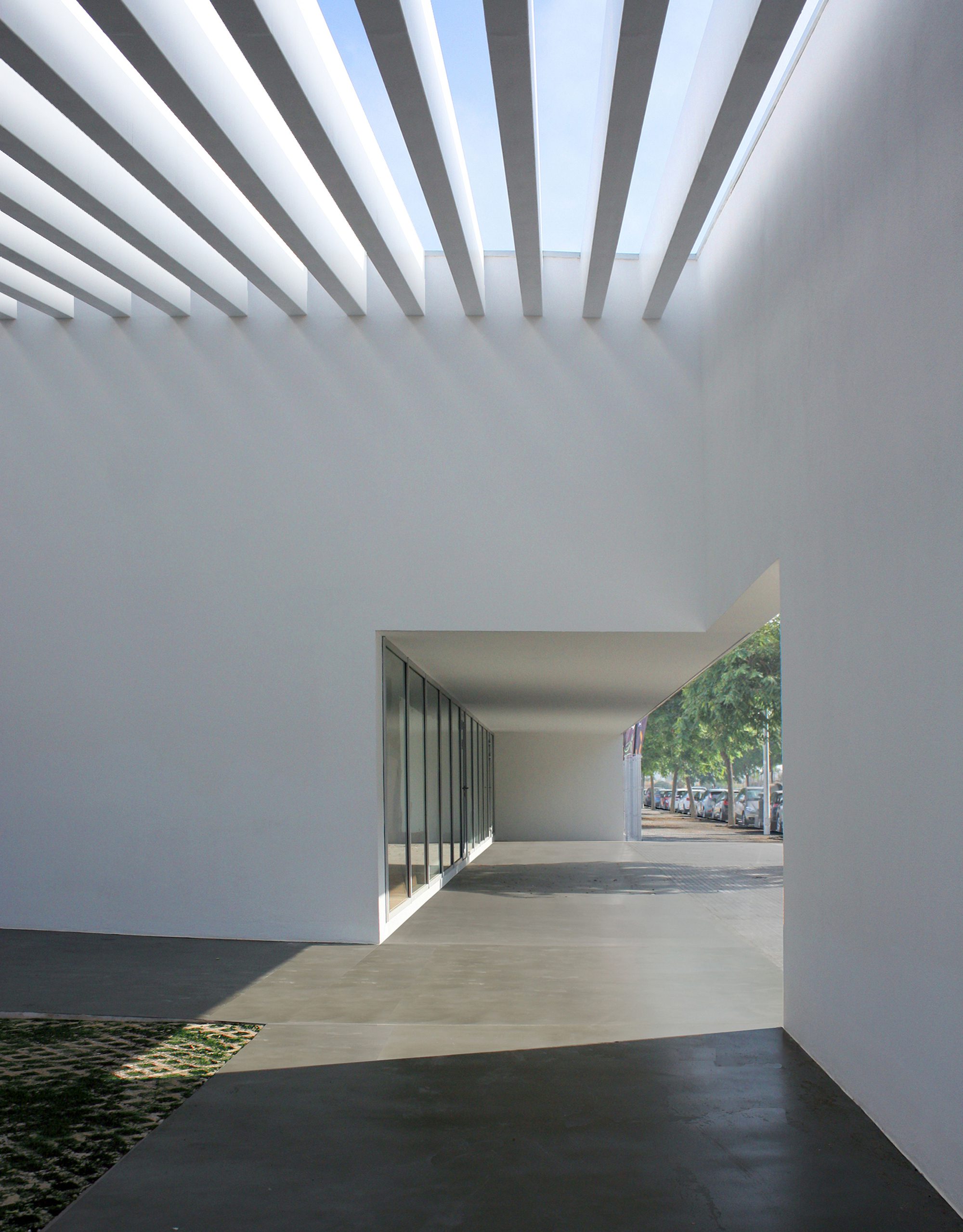 Cortesía de Luis Machuca2