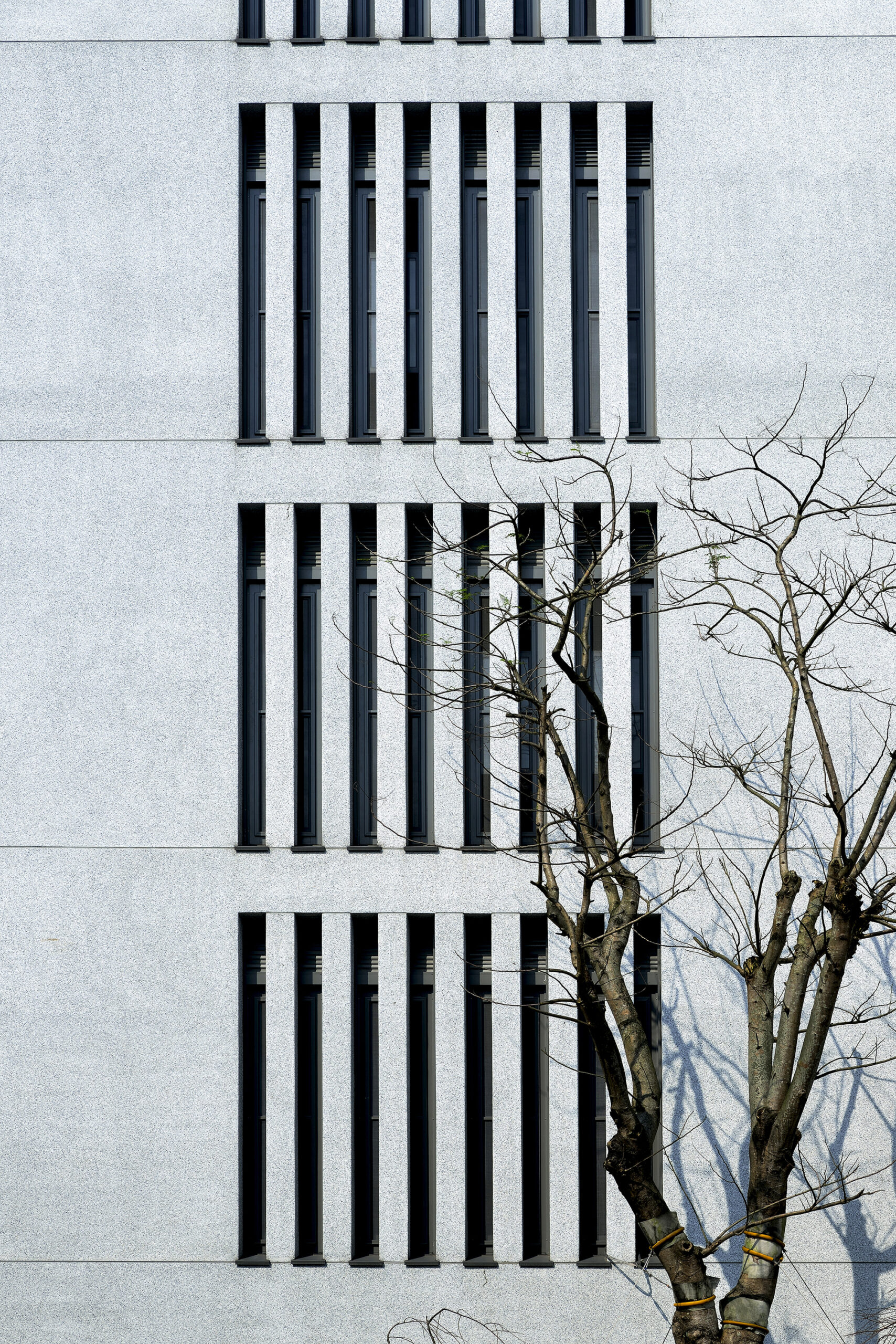 Dharma Drum Institute of Liberal Arts