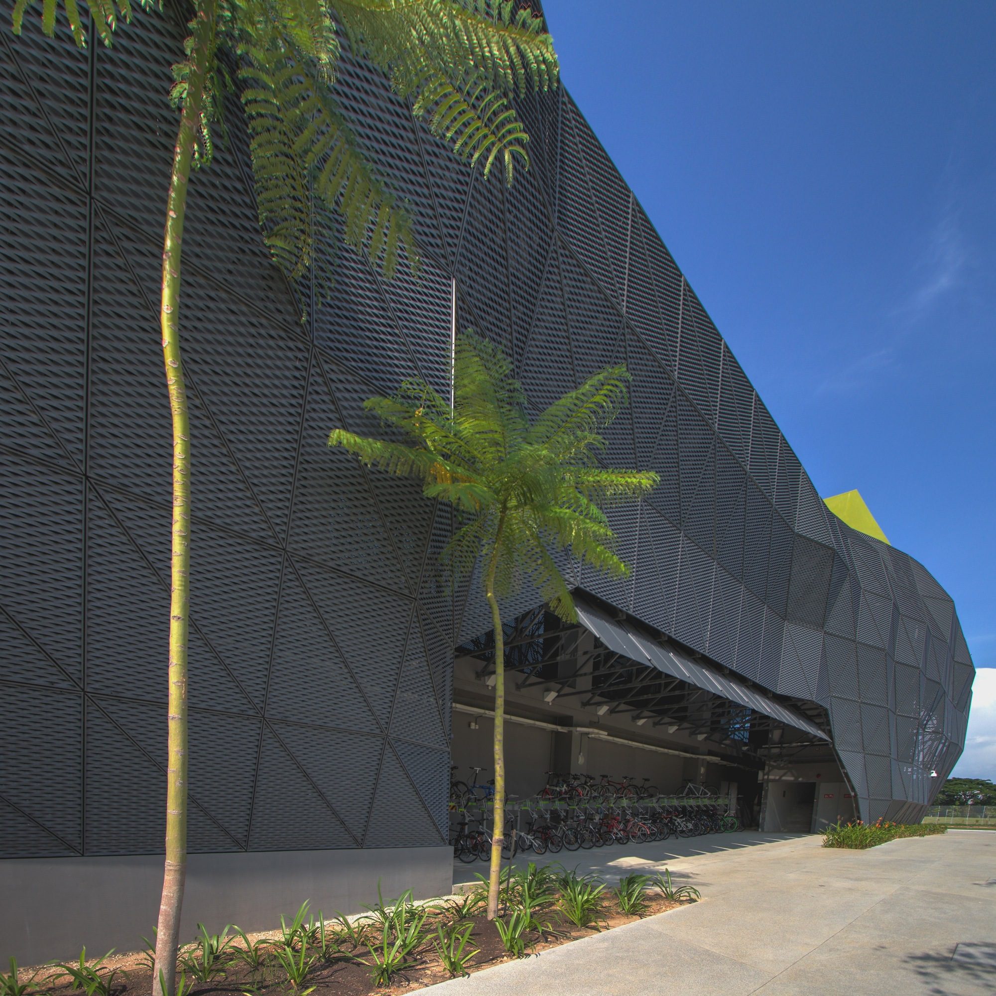 Courtesy of LOOK Architects7