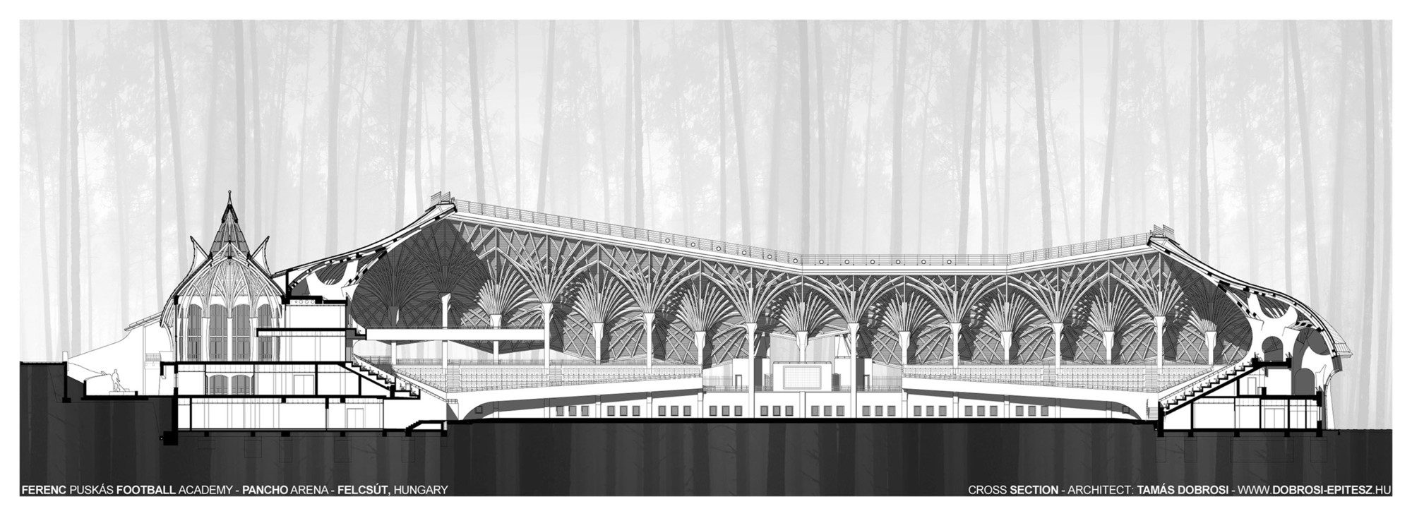 Cross Section30