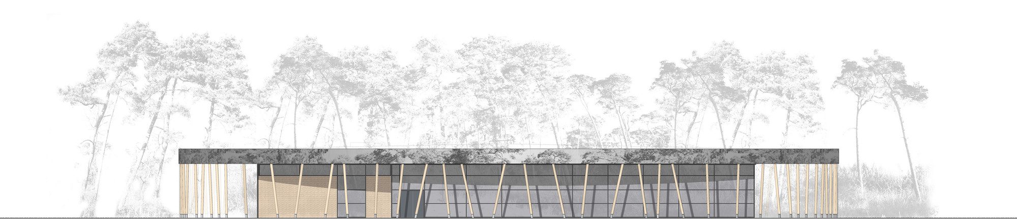 Sports Hall at Schuldorf Bergstrasse