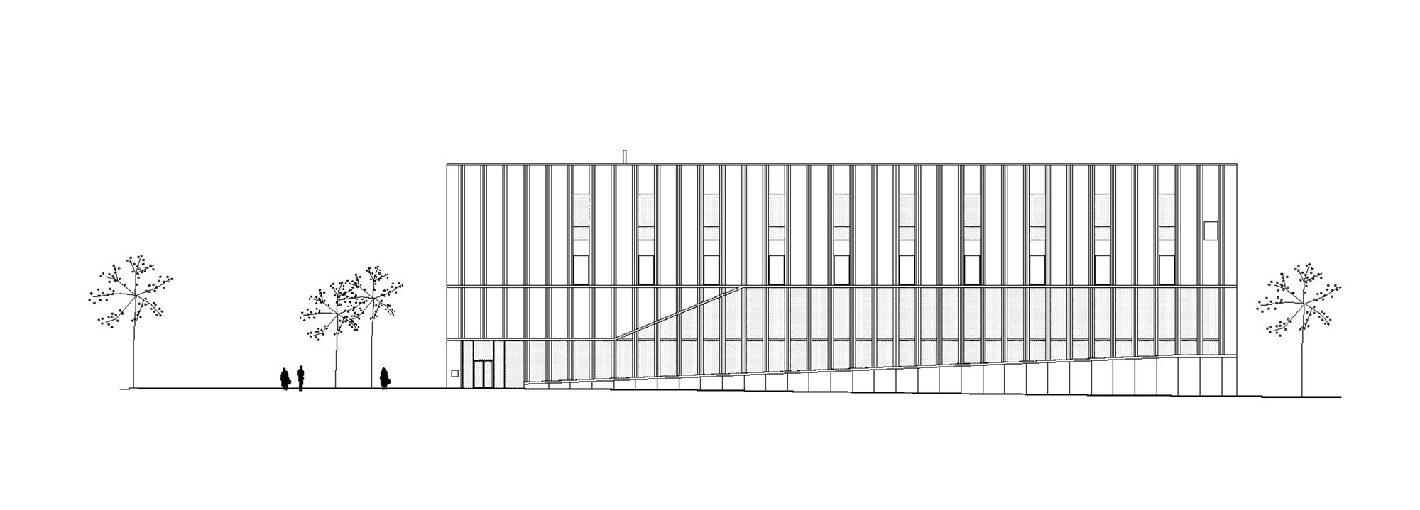 Elevation 221