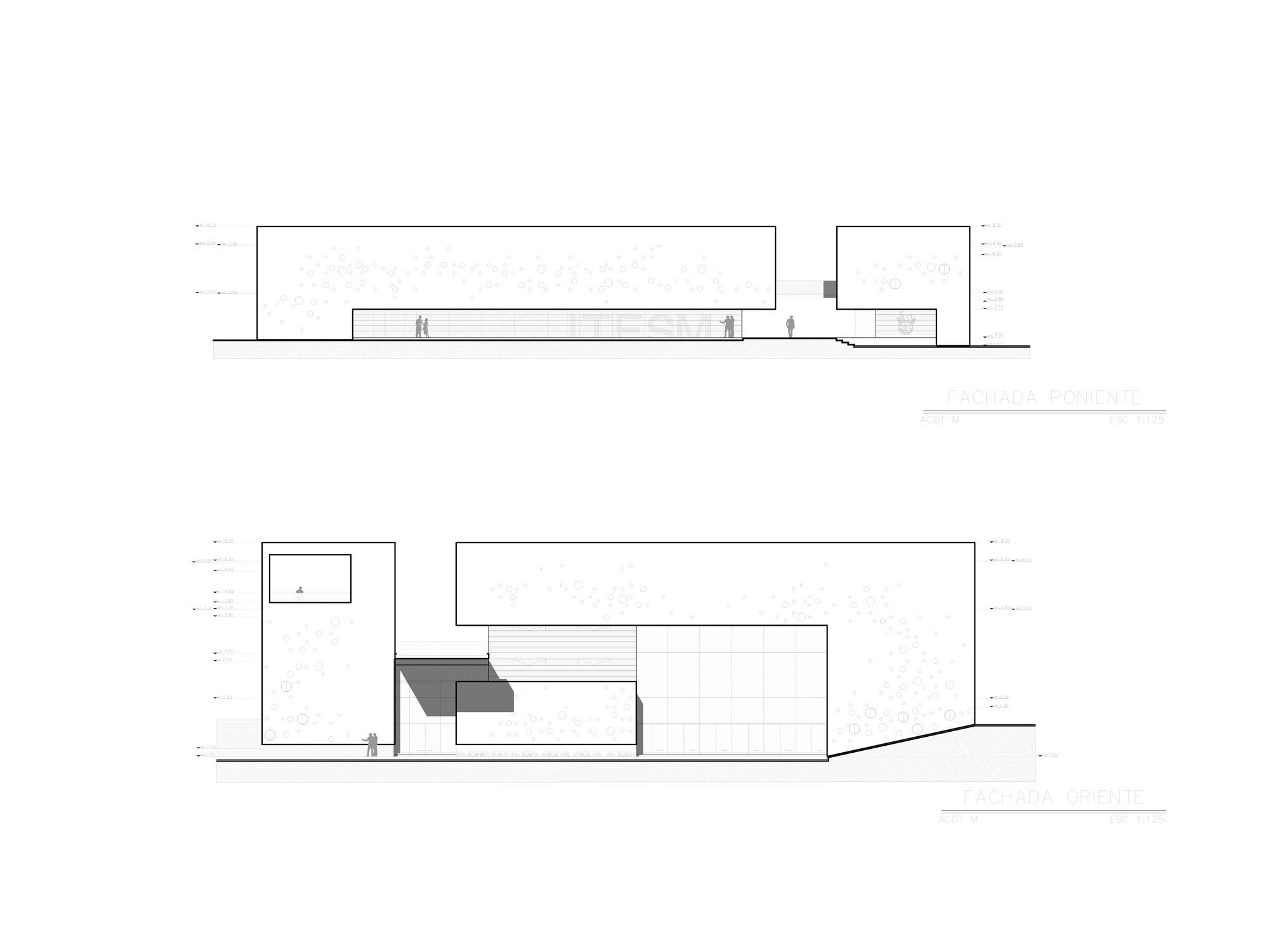 Elevation31