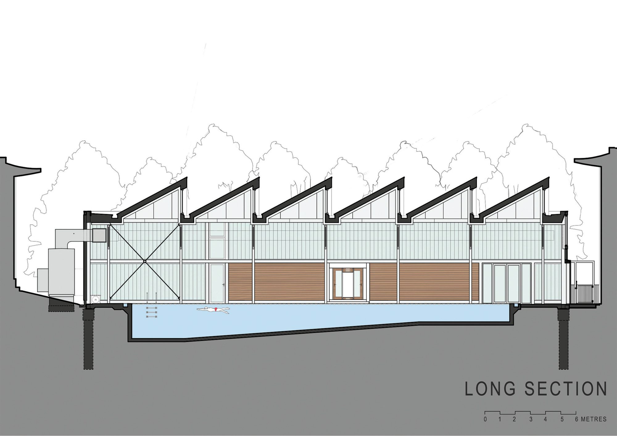 Longitudinal Section14