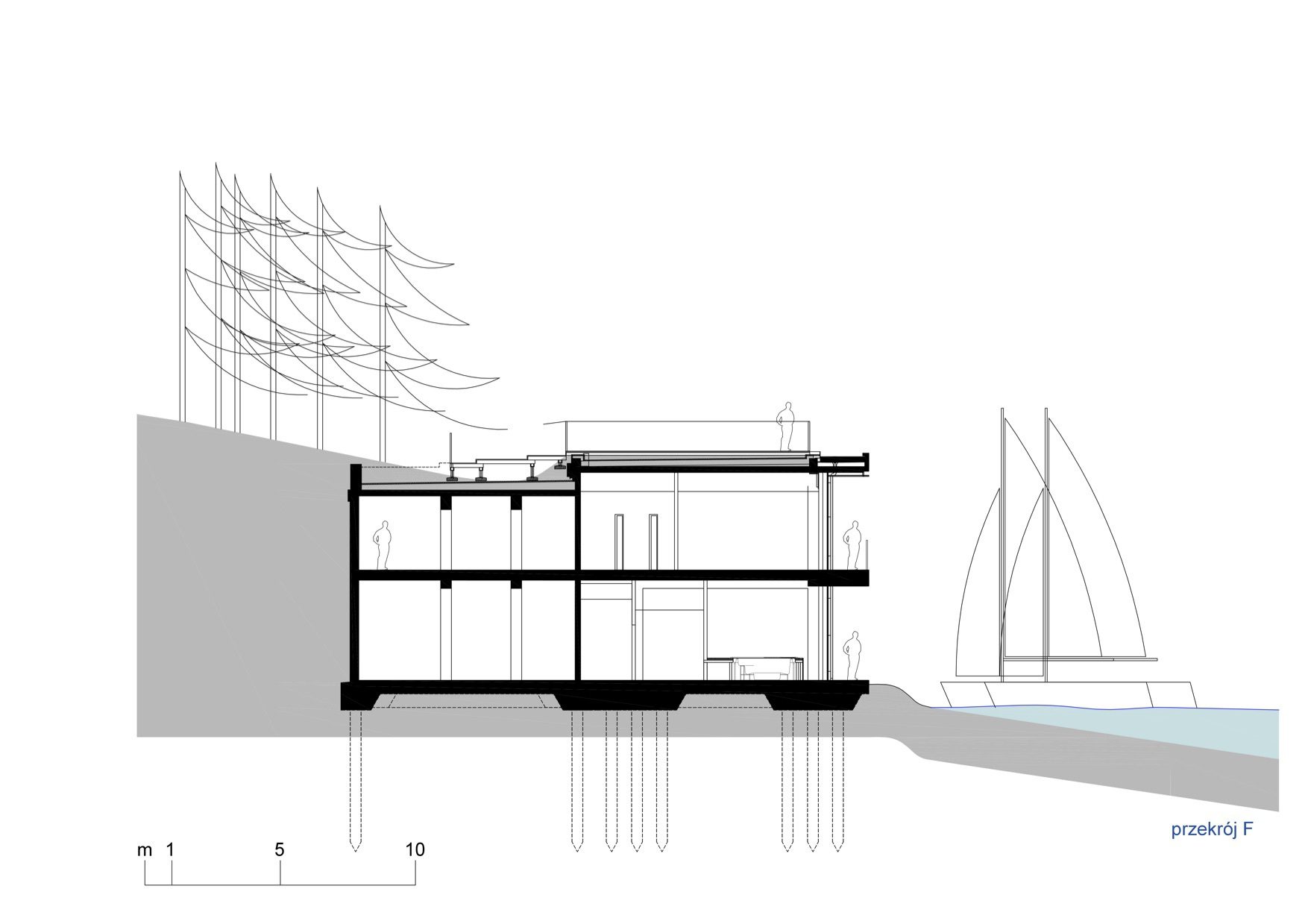 Section C20