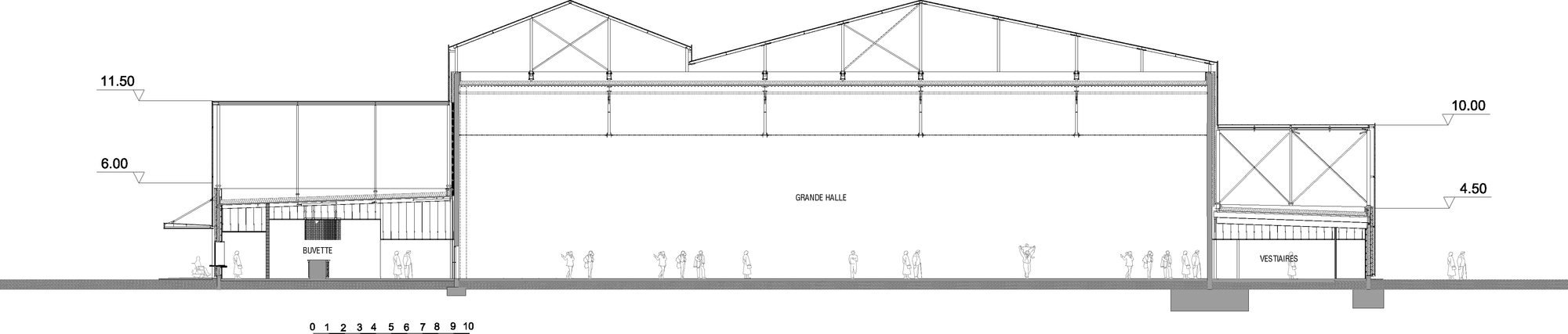 Section C31