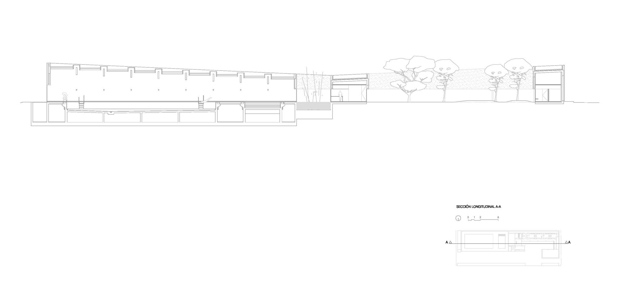 Swimming Center In Barbate