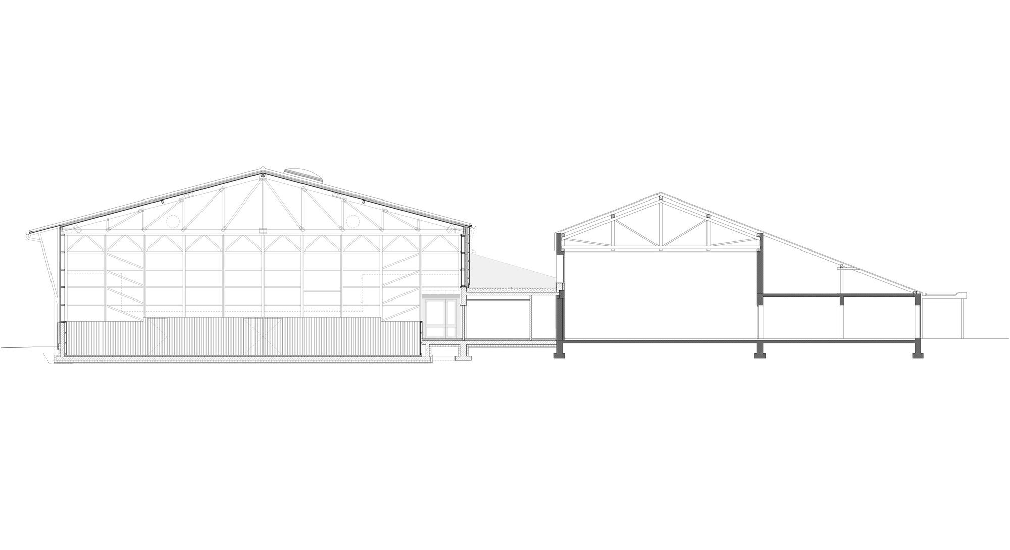 Section19