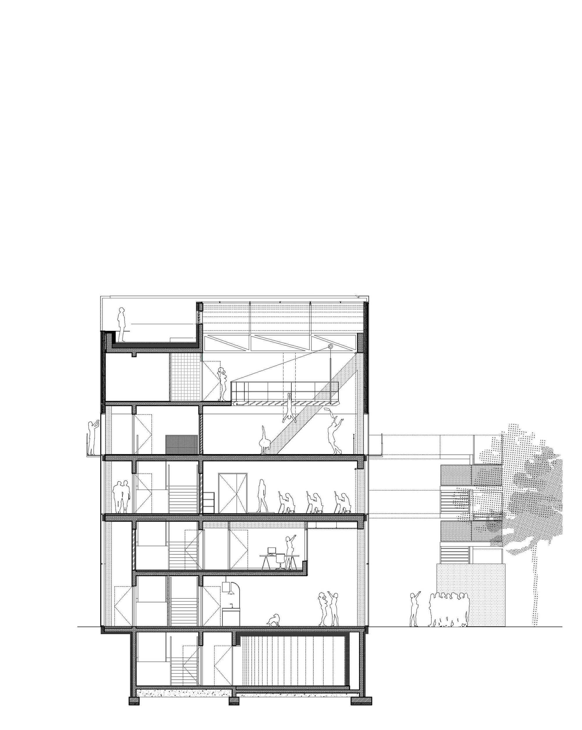 Section19