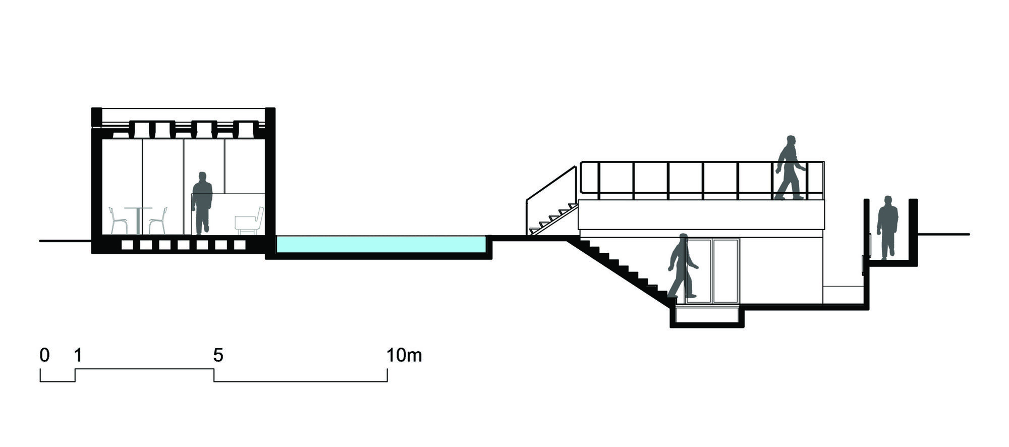 Section31