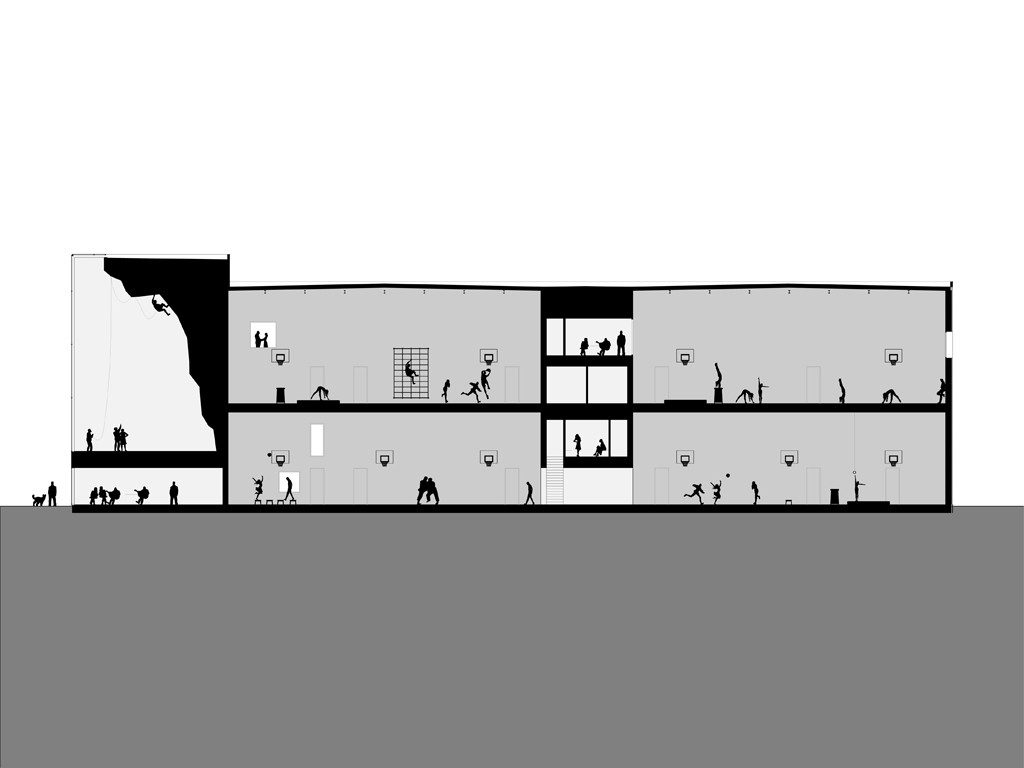 Section43