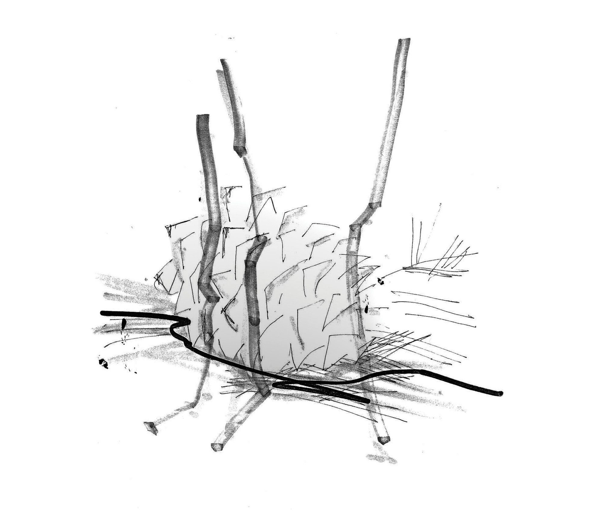 Sketch15