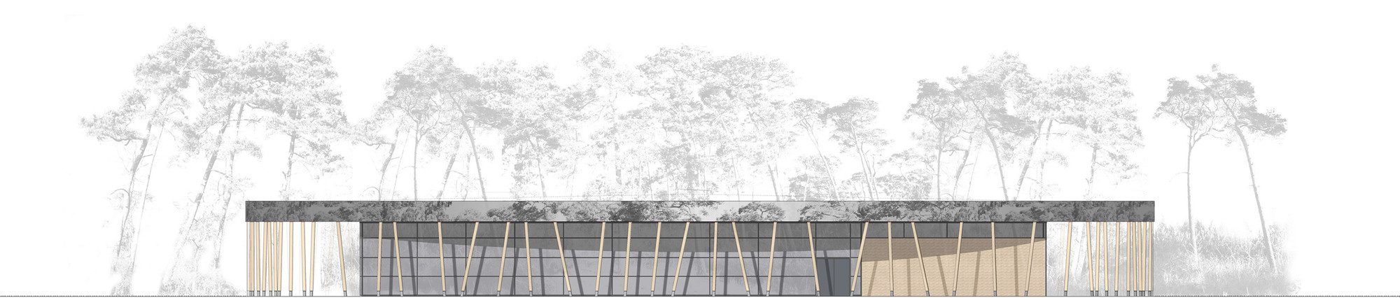 Sports Hall at Schuldorf Bergstrasse