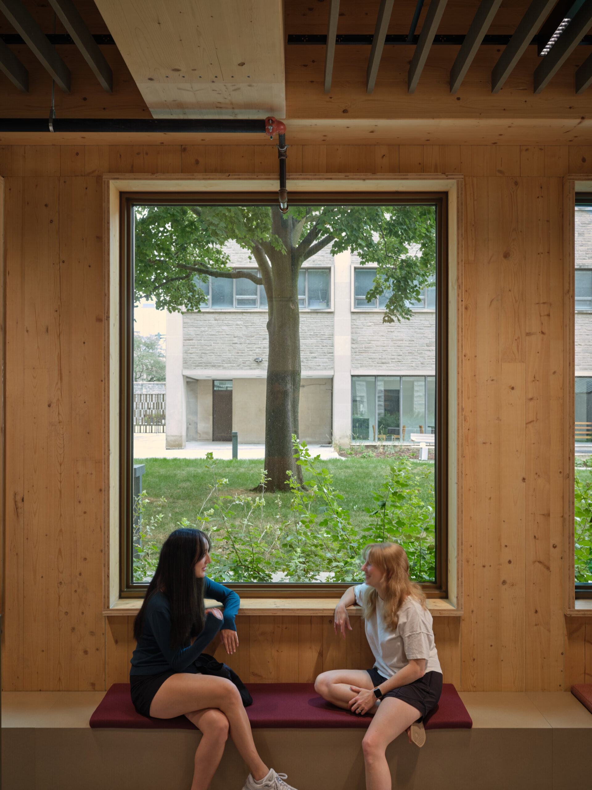 Studio residence unit with timber interior and daylight from a shifted window