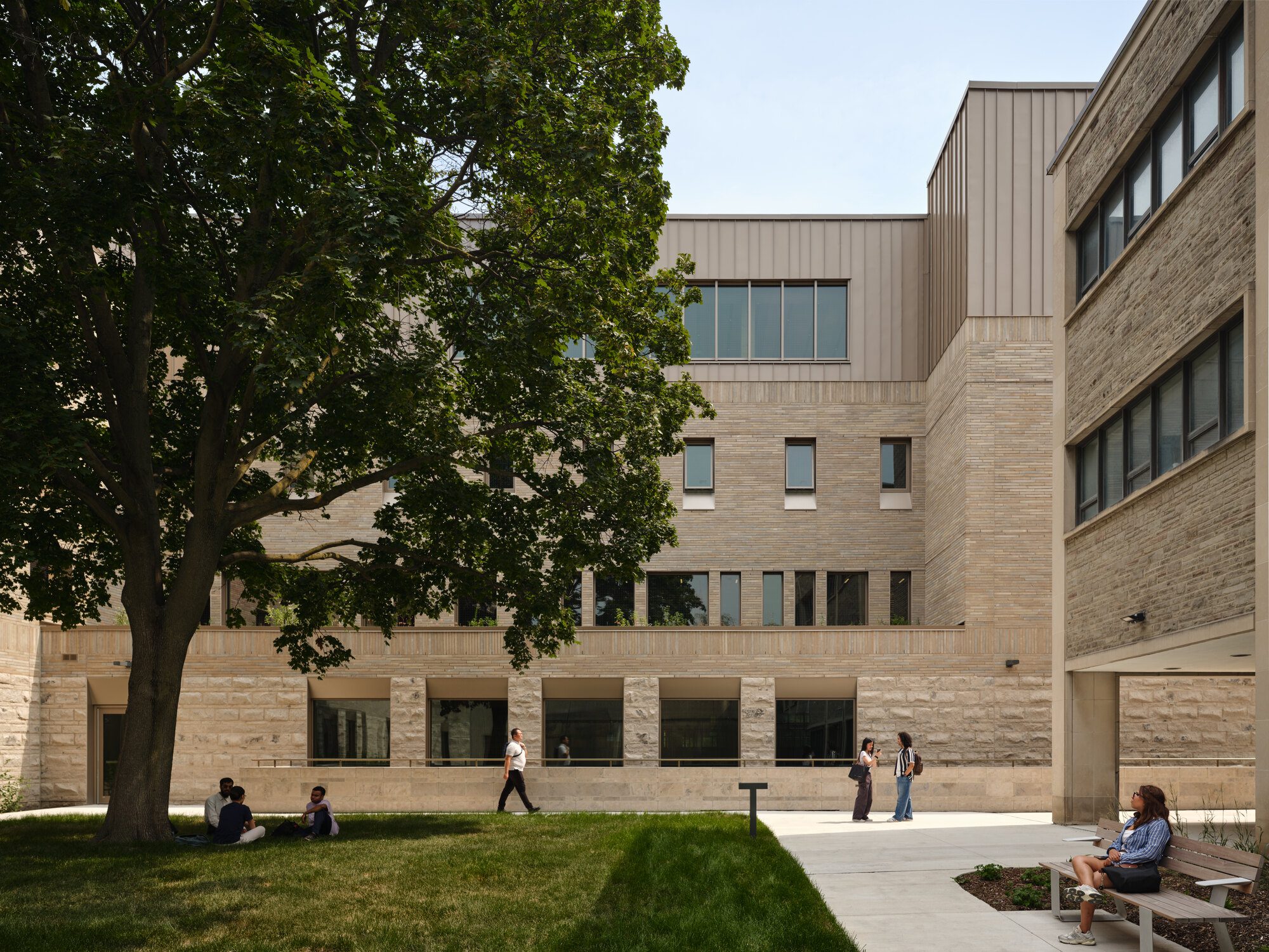 New courtyard shaped around historic campus buildings with a mature maple tree