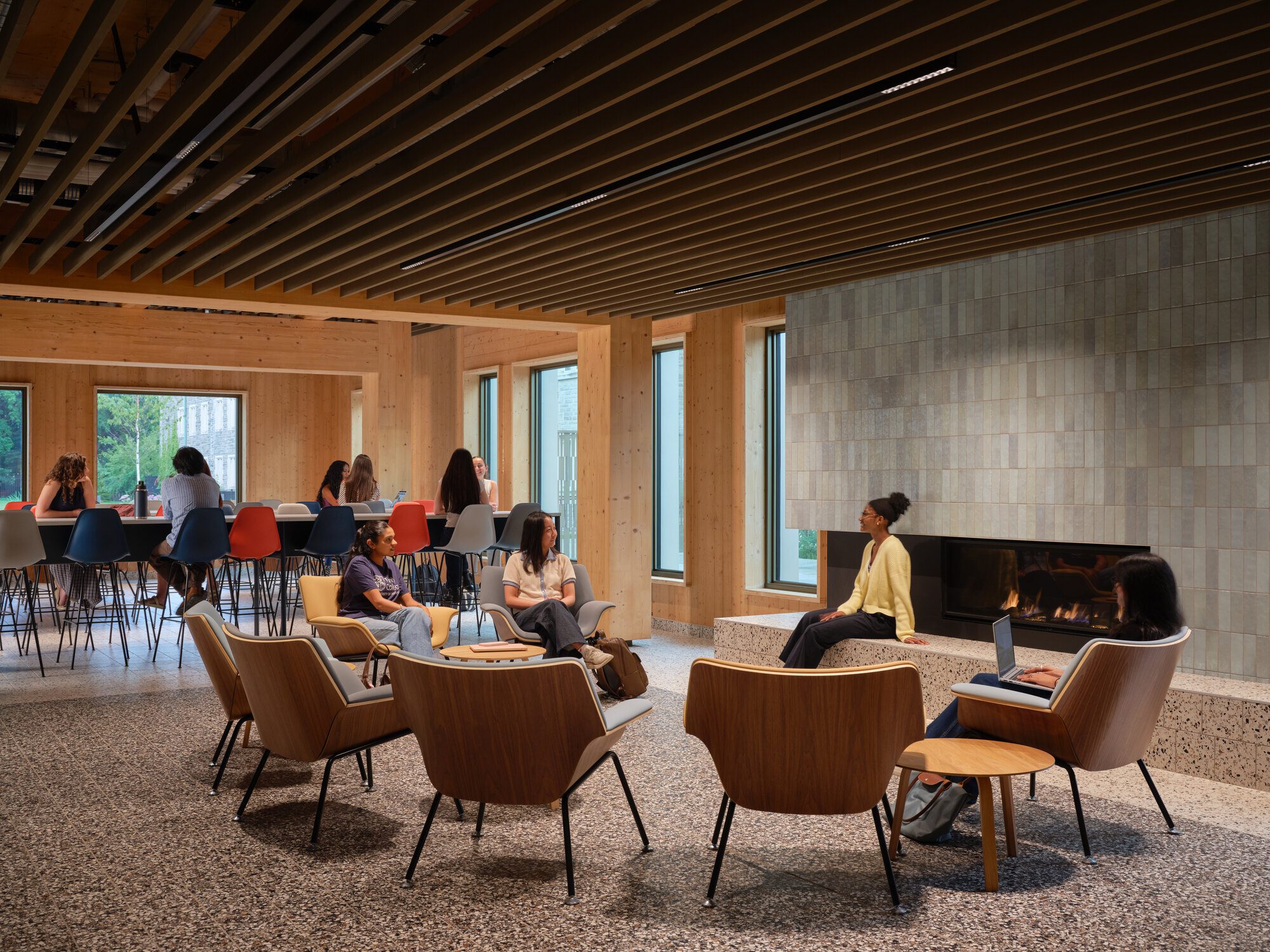 Enclave beneath a mature maple tree in a newly formed campus courtyard