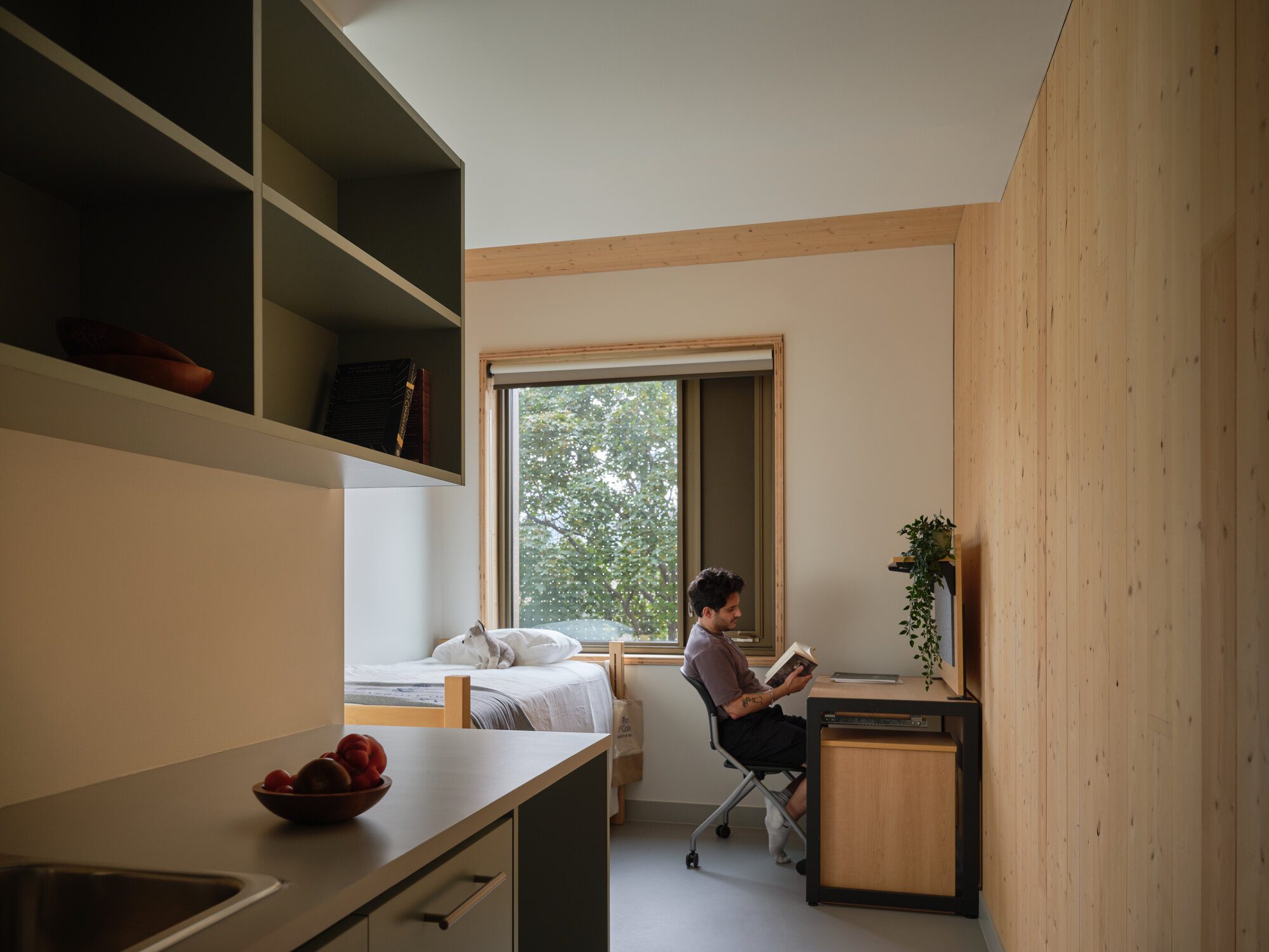 Café interior opening onto the courtyard through south-facing glazing