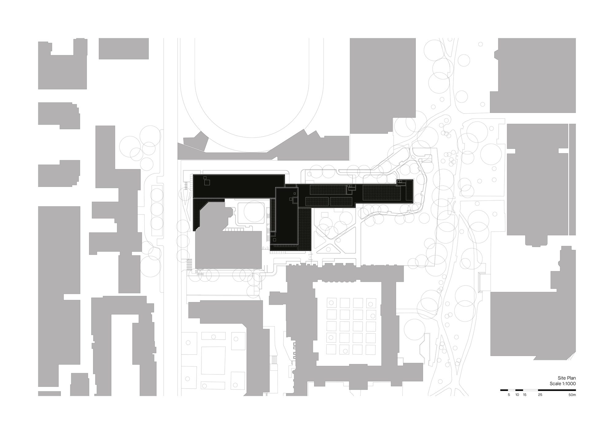 Stairwell lined with exposed Ontario mass timber connecting residence floors