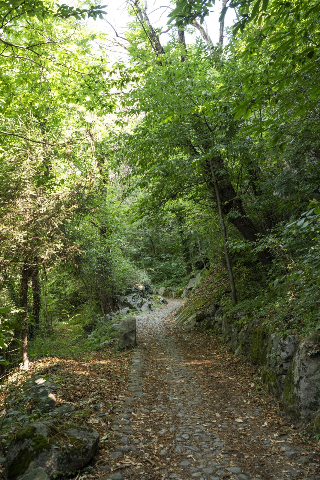 Further view of the Ceto Polo Culturale proposal and its relationship to the mountain landscape