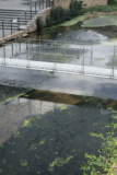 Ephemeral Bridge | FAR WORKSHOP