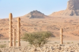 The Desert Relics | Karim+Elias
