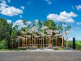 Structural Botany: 25AP-263-43 | Cheng Tsung FENG Design Studio