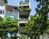 Town House Renovation in Hanoi | i.House Architecture and Construction