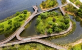 Qianhai’s Guiwan Park | Field Operations