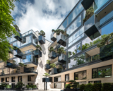 House of the Flying Trees | Open AD