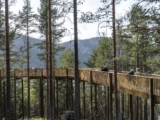 Treetop Walk Hamaren Activity Park | EFFEKT