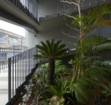 N Apartment | Yohei Kawashima Architects