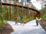 Cycling through the Trees | Burolandschap