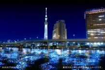 100,000 LED Lights | Panasonic